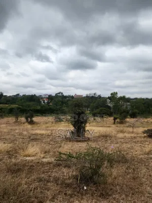 Plots for Sale in Kyumbi
