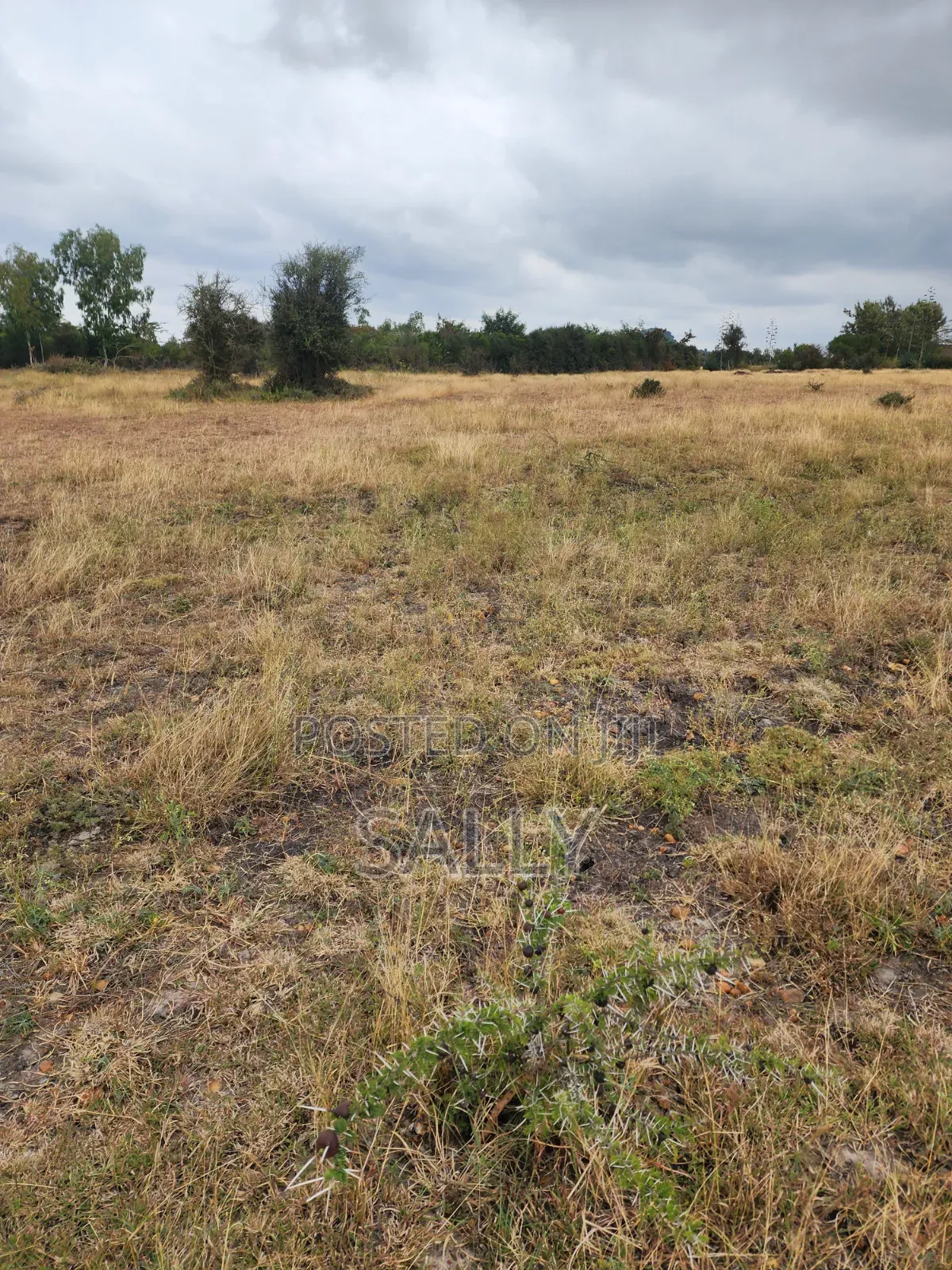Plots for Sale in Kyumbi
