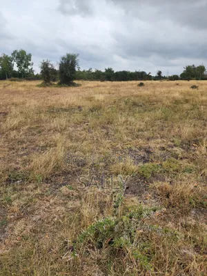 Plots for Sale in Kyumbi