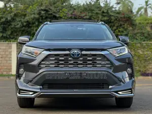 Toyota RAV4 2020 Gray
