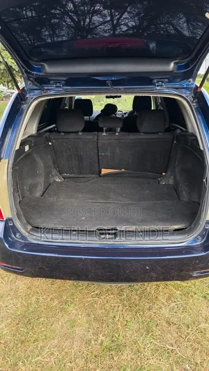 Toyota Corolla Fielder 2008 Blue