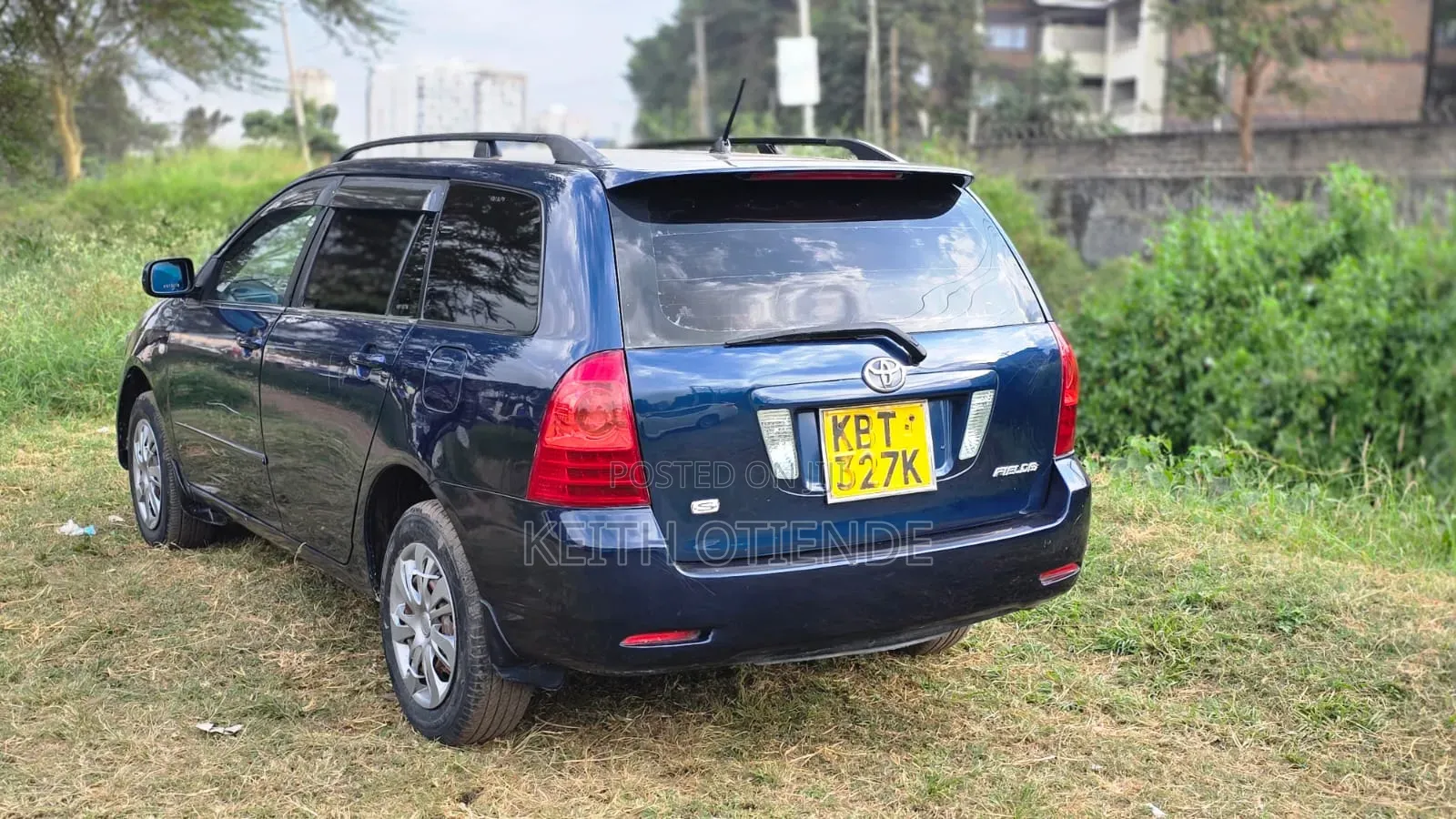 Toyota Corolla Fielder 2008 Blue