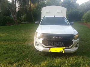 Pickup Metallic Canopy Body