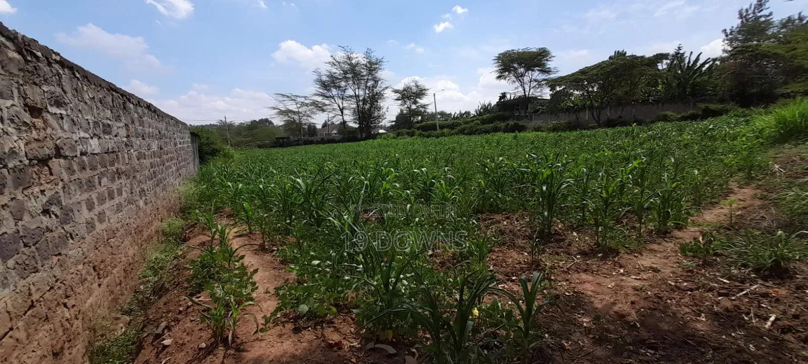 Ruai Mawe Mbili