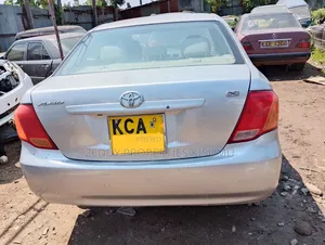 Toyota Axio 2008 Gray