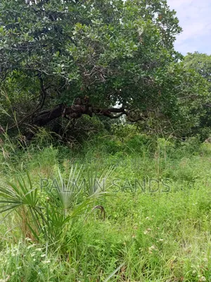 1.5 Acres in Kinondo Diani for Low Price Sale!