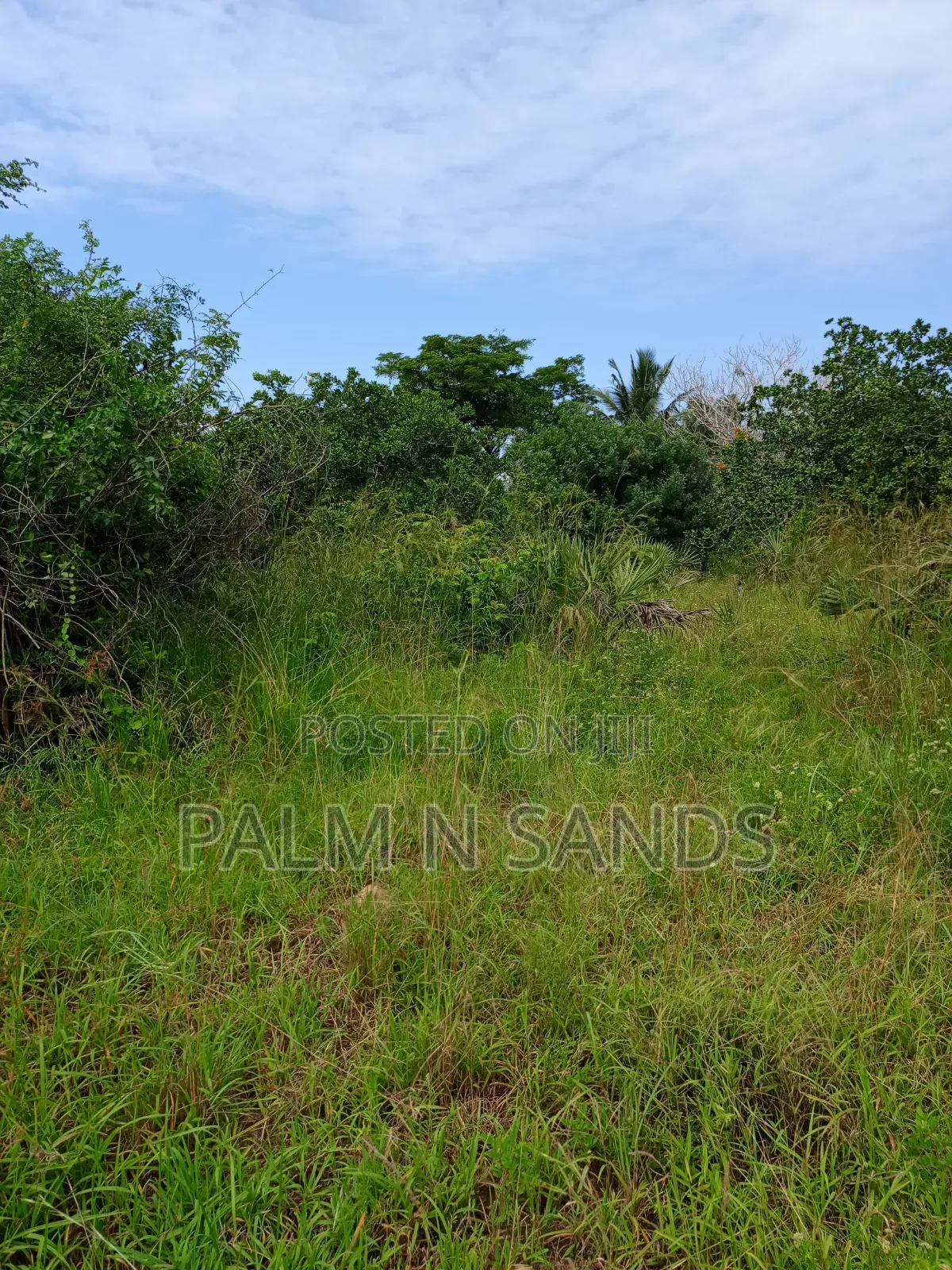 1.5 Acres in Kinondo Diani for Low Price Sale!