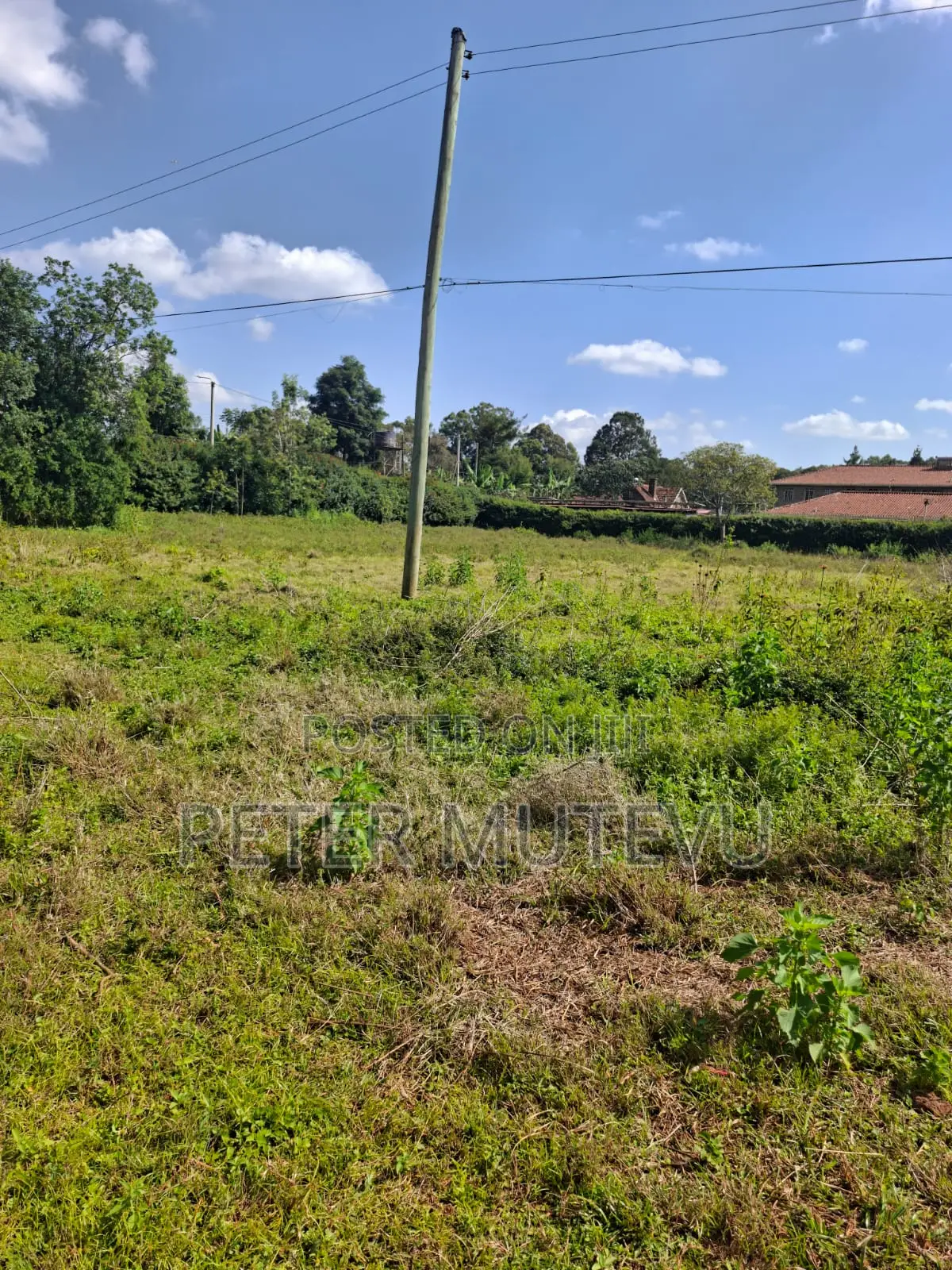 Half Acre Land for Sale in Karen