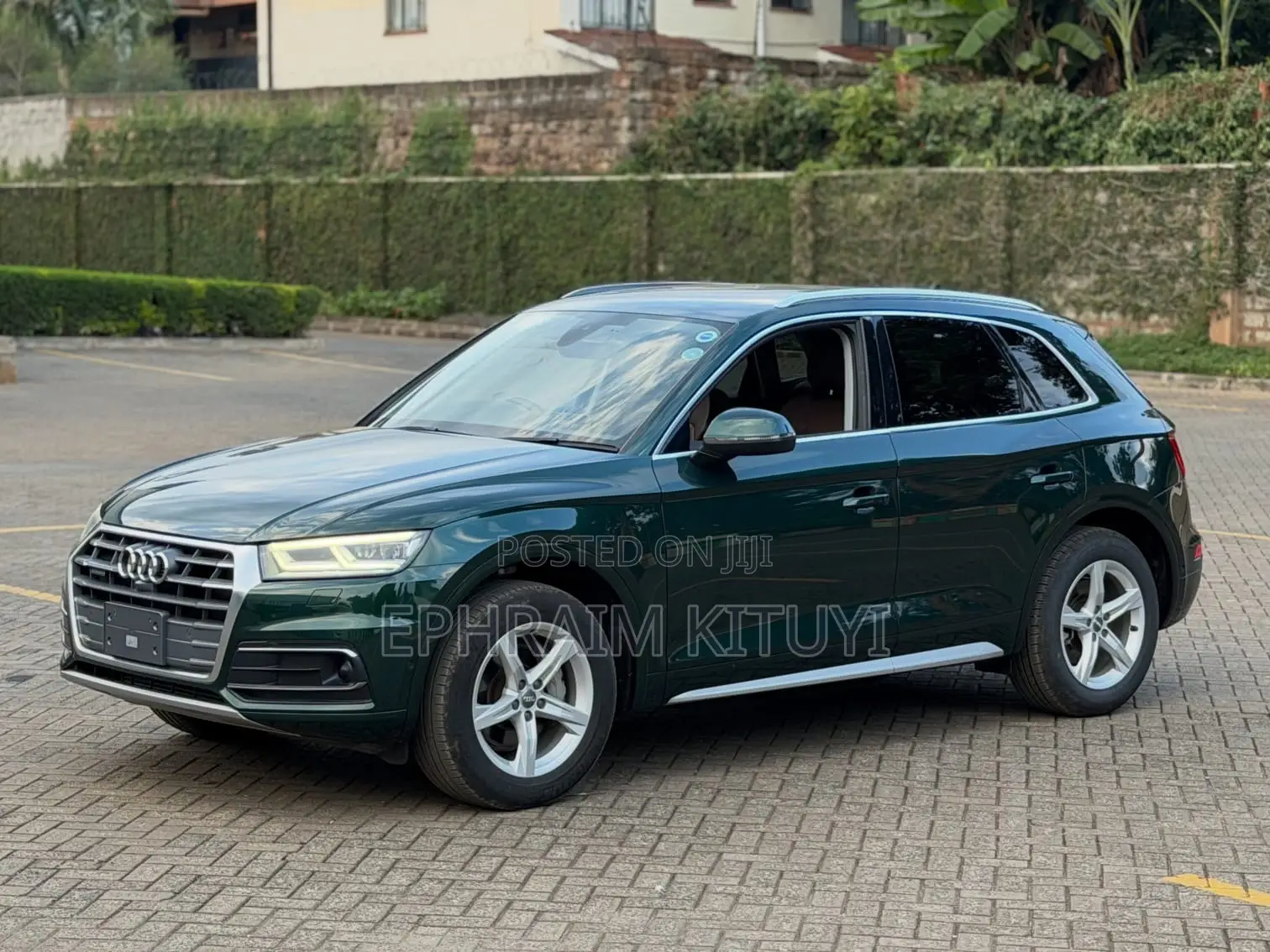 Audi Q5 2.0T Premium AWD quattro 2019 Green