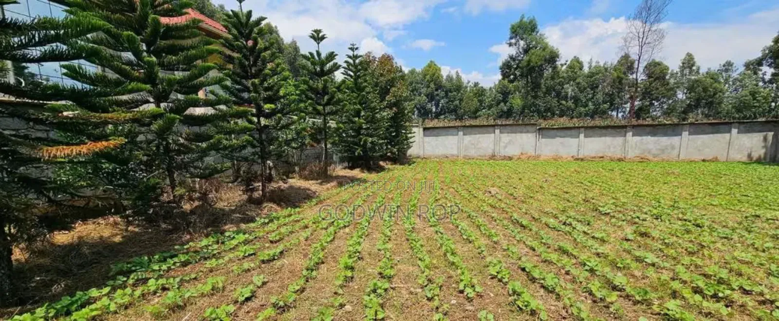 1⁄4 Plot for Sale in Annex Blossom Eldoret.