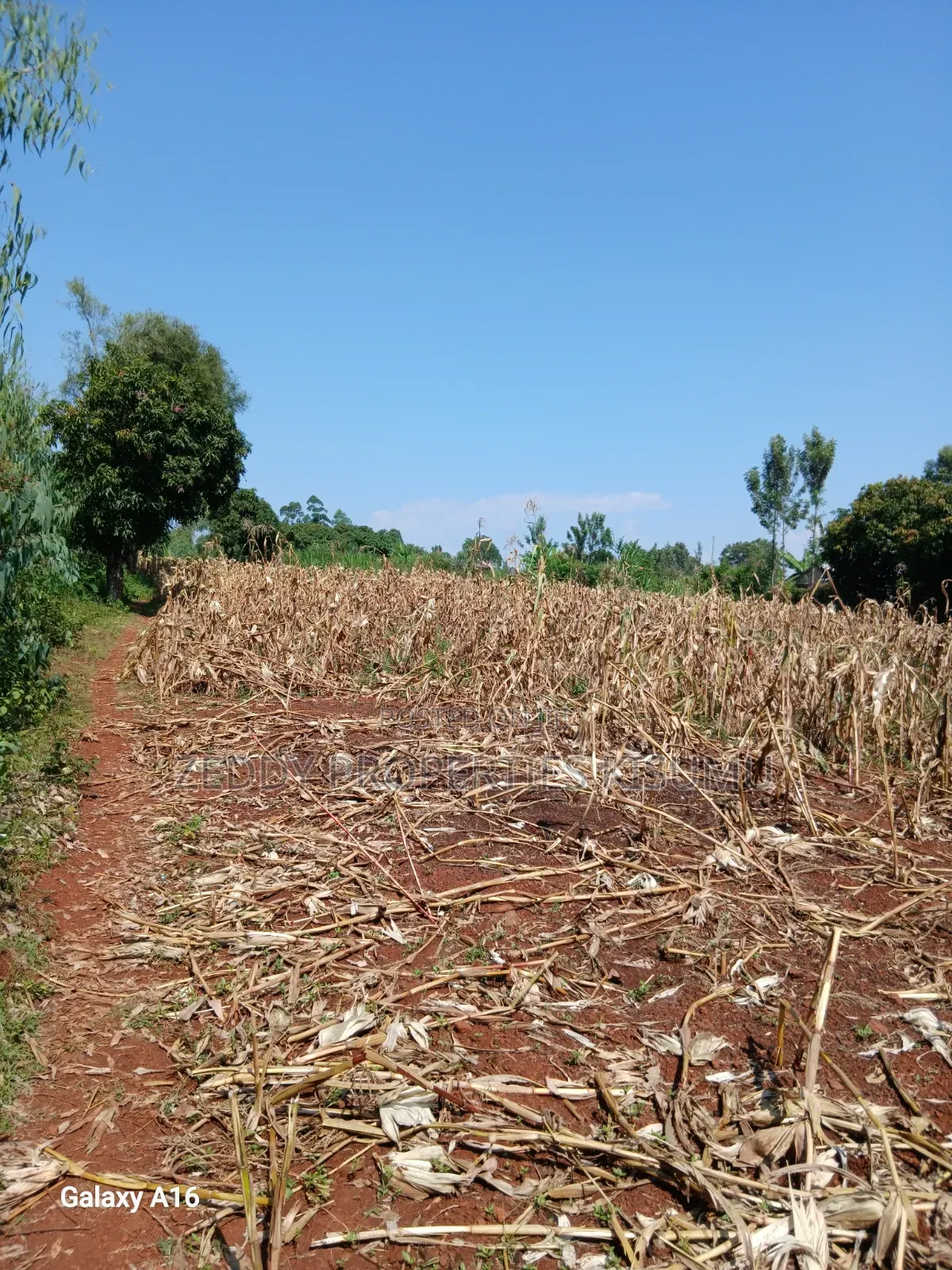 2 Acres Kisumu Nyahera Touching the Road End-to-End