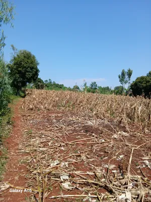 2 Acres Kisumu Nyahera Touching the Road End-to-End