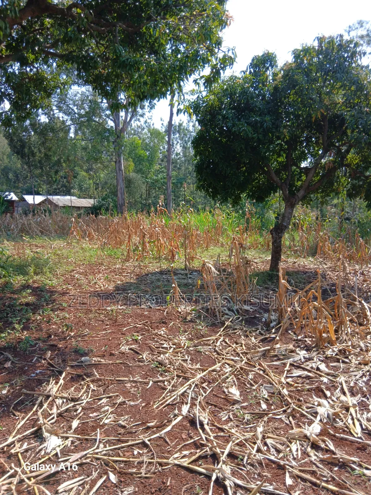 2 Acres Kisumu Nyahera Touching the Road End-to-End