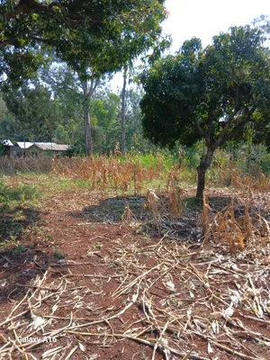 2 Acres Kisumu Nyahera Touching the Road End-to-End