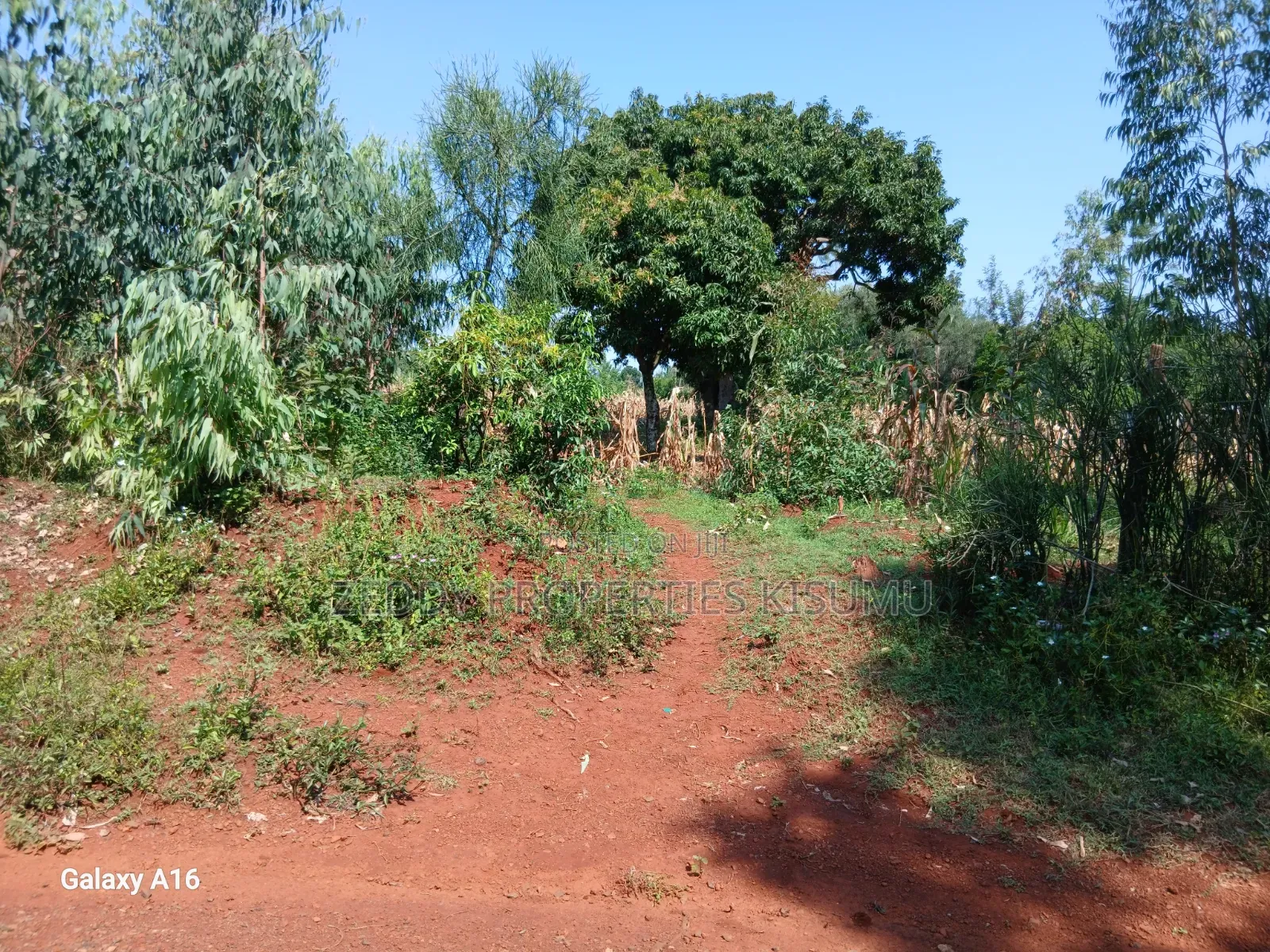 2 Acres Kisumu Nyahera Touching the Road End-to-End