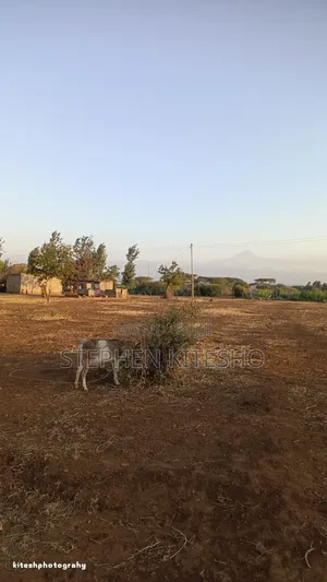 Plot for Sale at Loitoktok Kimana Town 50#100