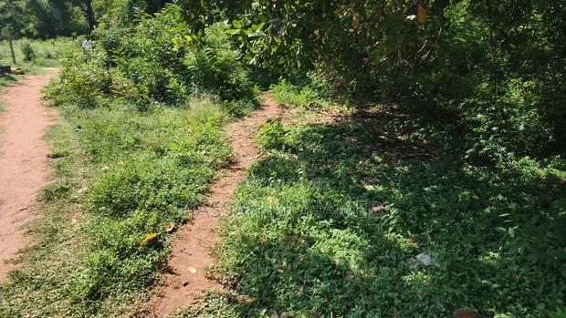 Land for Sale - thumbnail 5