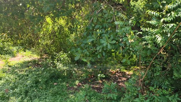 Land for Sale - thumbnail 6
