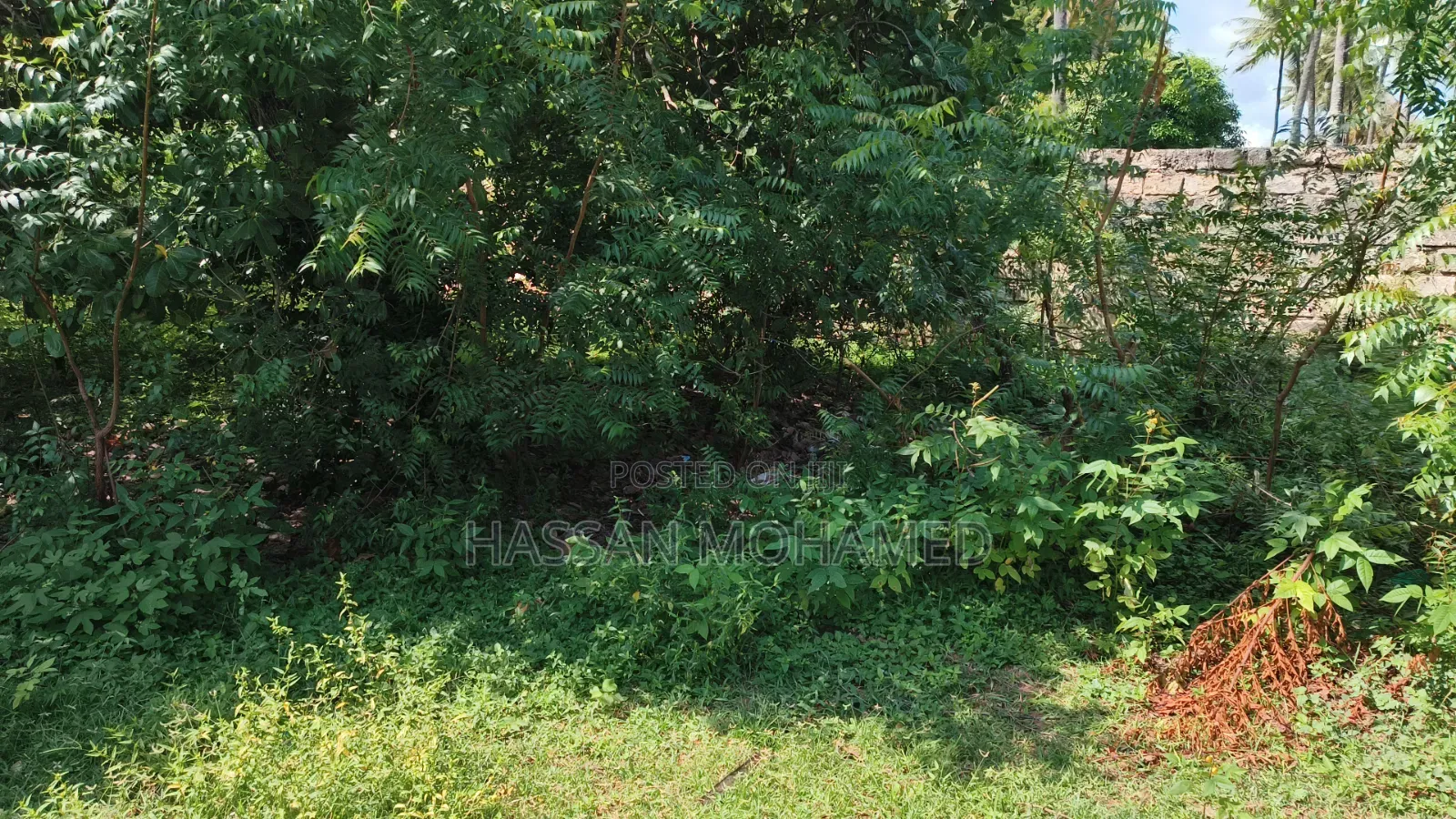 Land for Sale