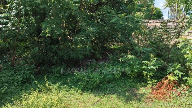 Land for Sale - thumbnail 7