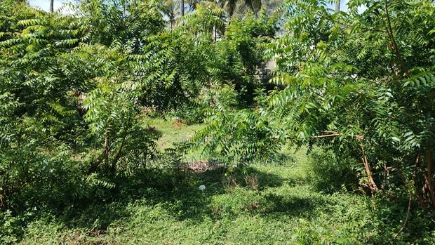 Land for Sale - thumbnail 10