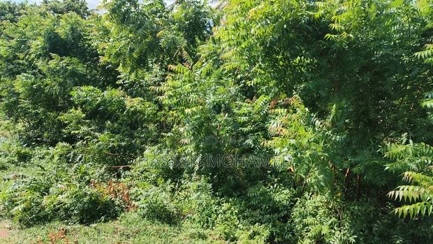 Land for Sale - thumbnail 11