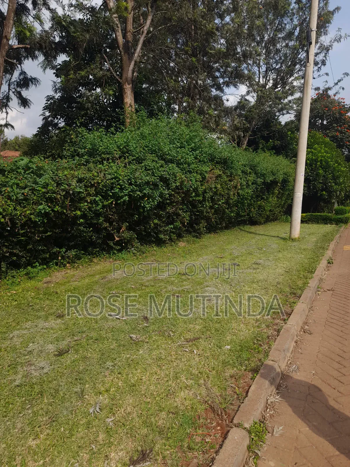 Half an Acre at Runda