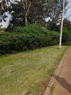 Half an Acre at Runda