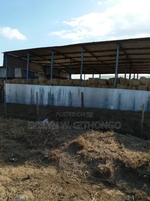 Land for Sale in Maimahio