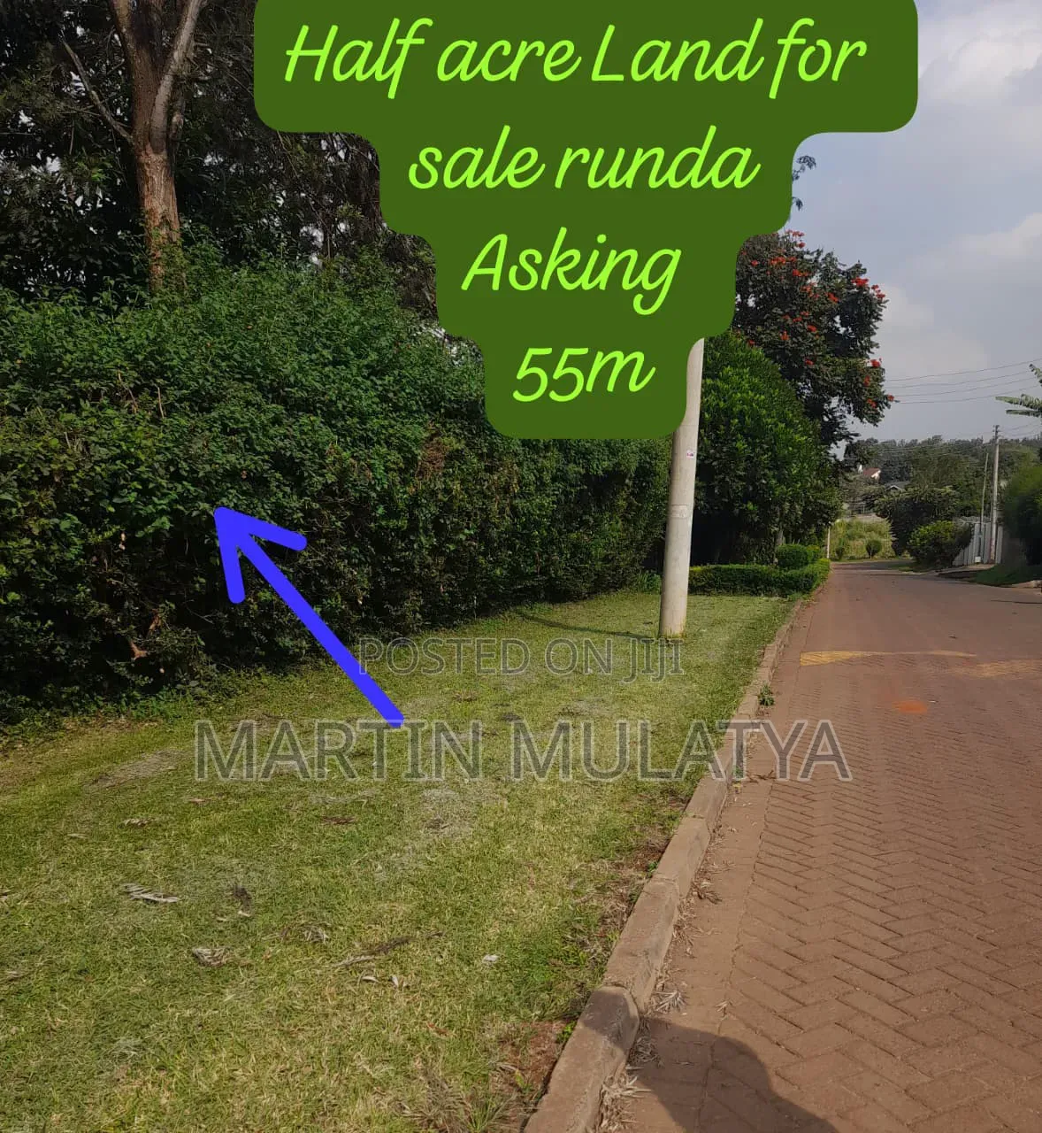 Land for Sell
