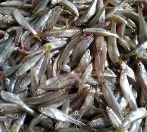 .Fried Omena and Fish