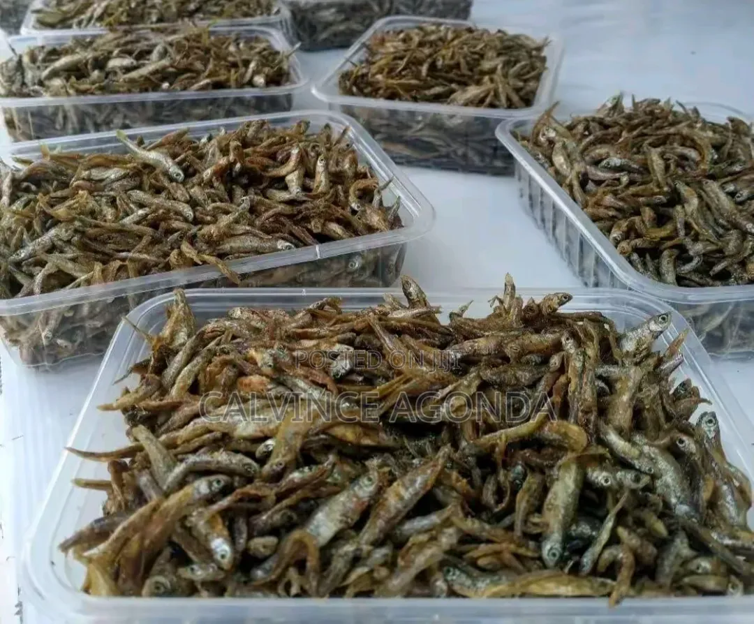 .Fried Omena and Fish
