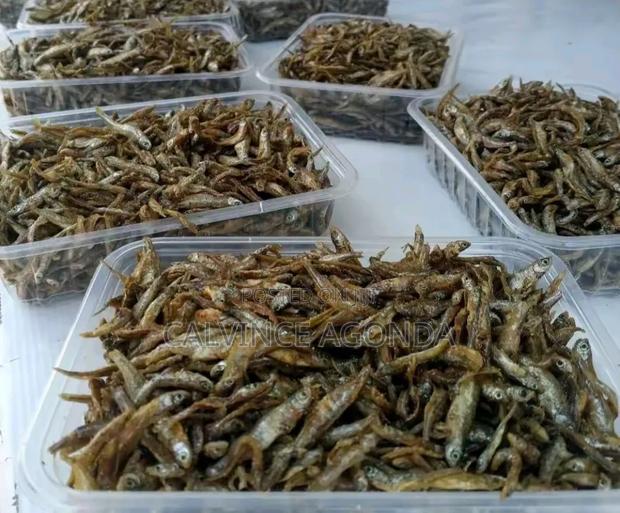 .Fried Omena and Fish - thumbnail 6
