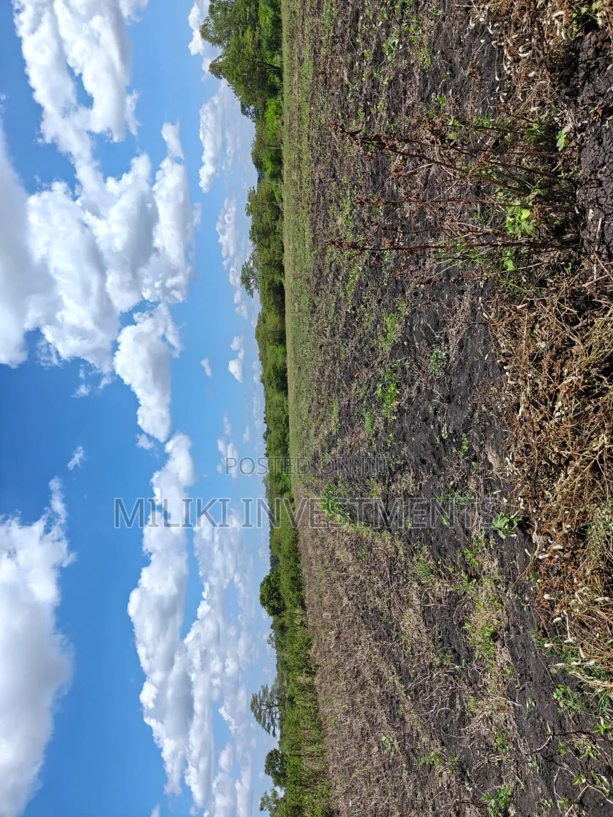 7 Acres on Sale at Kirinyaga -Rukanga