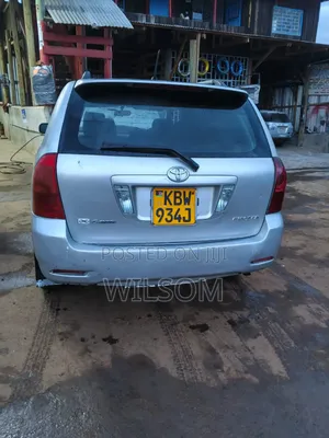 Toyota Corolla Fielder 2006 Silver