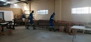 Fresh Eggs