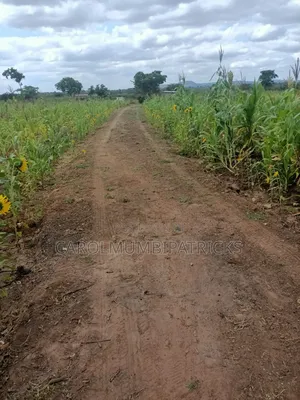 3.25 Acres Of Land In Musingine Area Off Kivandini Masinga Road