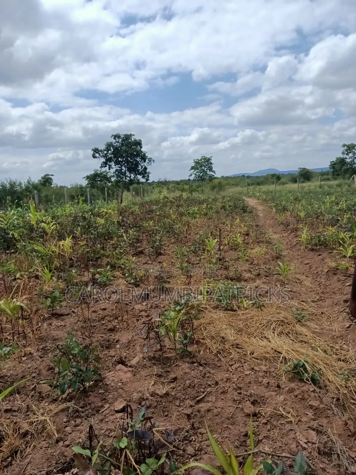 3.25 Acres Of Land In Musingine Area Off Kivandini Masinga Road