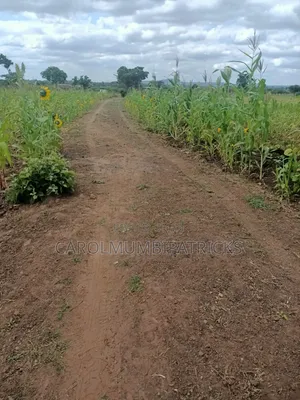 3.25 Acres Of Land In Musingine Area Off Kivandini Masinga Road