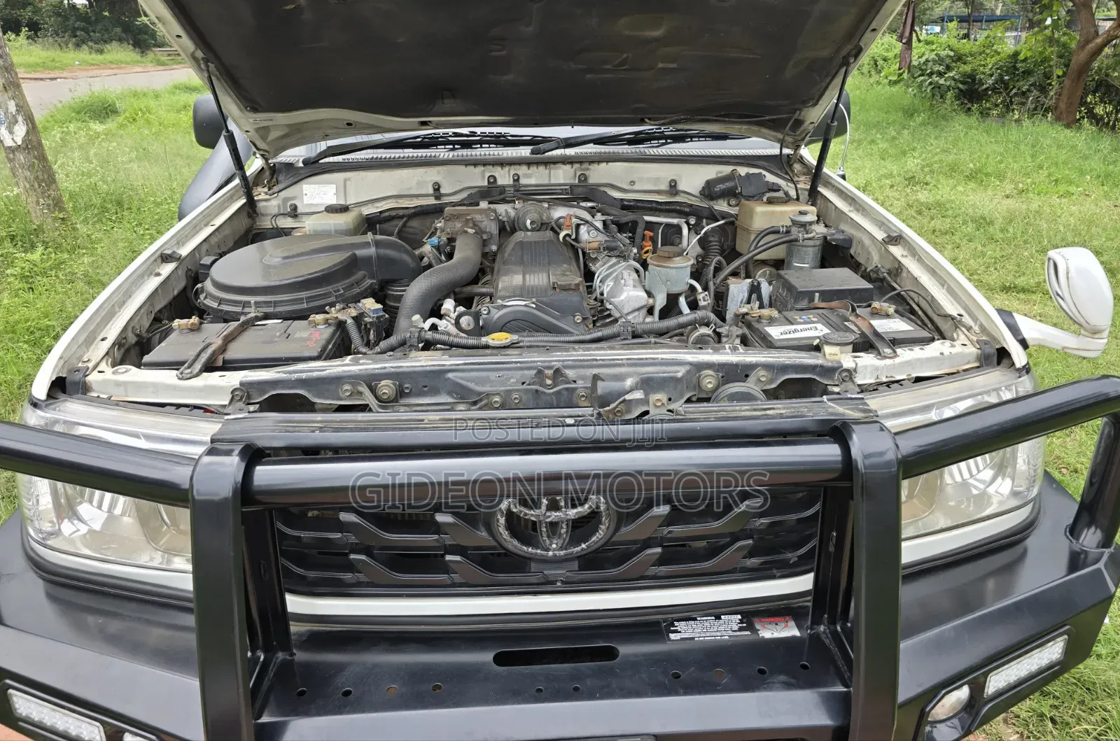 Toyota Land Cruiser 2001 White
