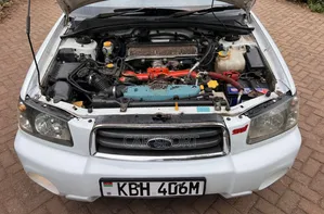 Subaru Forester 2005 White