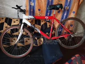 Mountain Bike Size 26