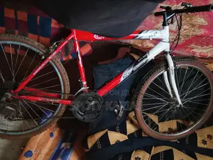 Mountain Bike Size 26