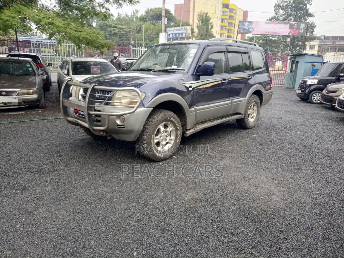 Mitsubishi Pajero 2003 Blue