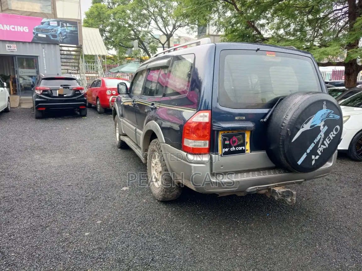 Mitsubishi Pajero 2003 Blue