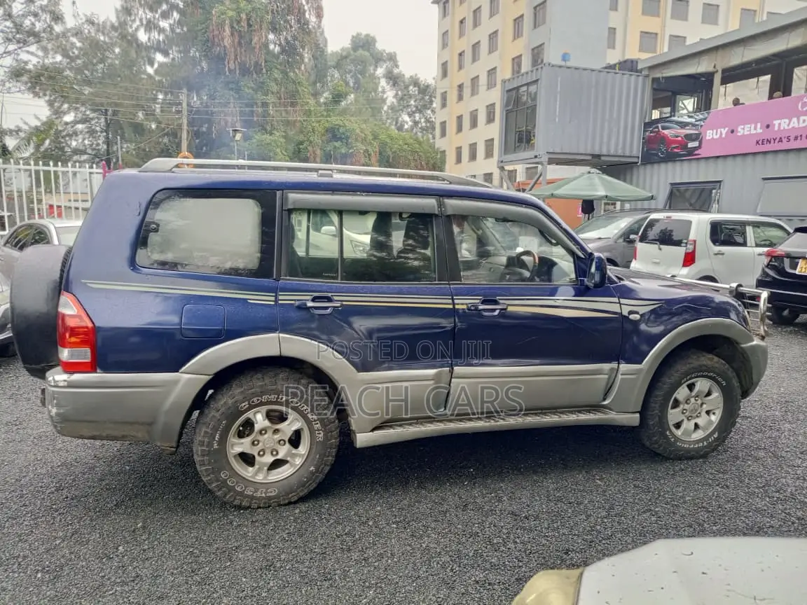 Mitsubishi Pajero 2003 Blue