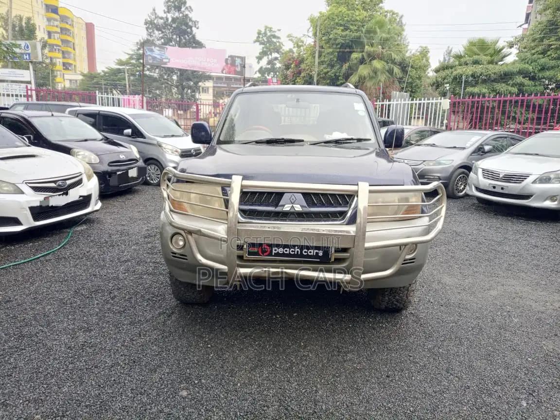 Mitsubishi Pajero 2003 Blue