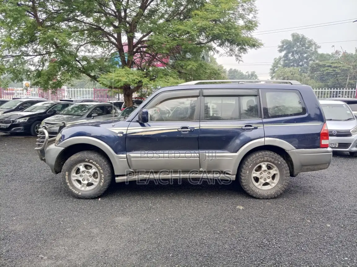 Mitsubishi Pajero 2003 Blue