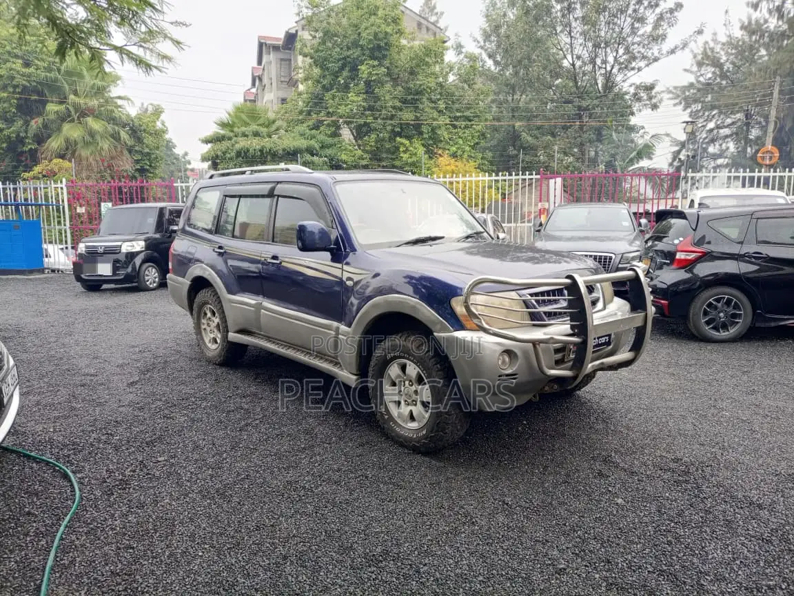 Mitsubishi Pajero 2003 Blue