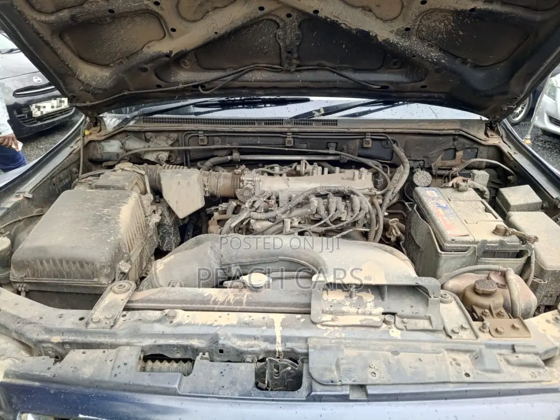 Mitsubishi Pajero 2003 Blue